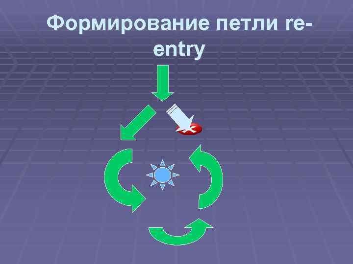 Формирование петли reentry 