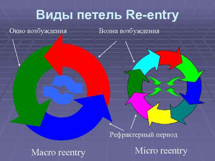 Виды петель Re-entry Окно возбуждения Волна возбуждения Рефрактерный период Macro reentry Micro reentry 