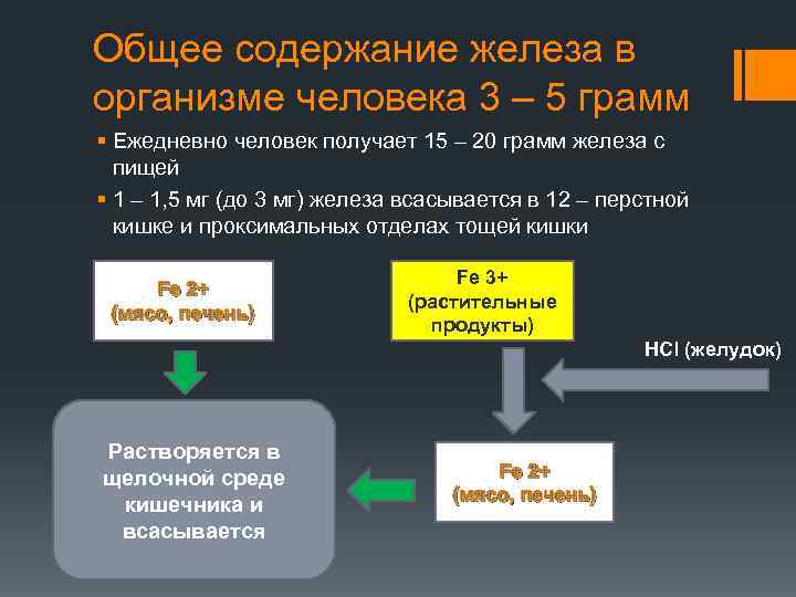 Общее содержание железа в организме человека 3 – 5 грамм § Ежедневно человек получает