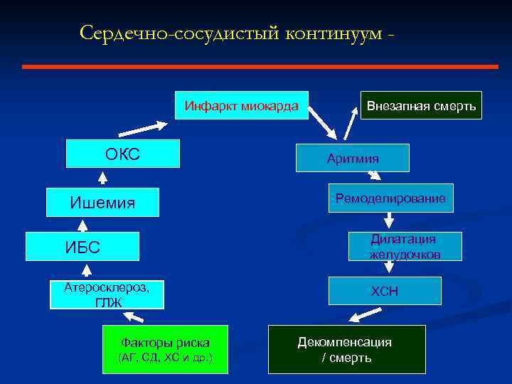 Сердечно-сосудистый континуум Инфаркт миокарда ОКС Ишемия Внезапная смерть Аритмия Ремоделирование ИБС Дилатация желудочков Атеросклероз,