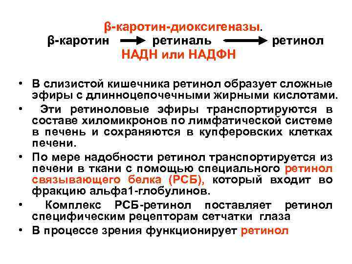 β-каротин-диоксигеназы. β-каротин ретиналь ретинол НАДН или НАДФН • В слизистой кишечника ретинол образует сложные