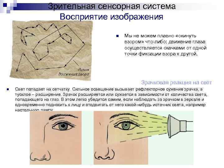 Как движется глаз по картинке