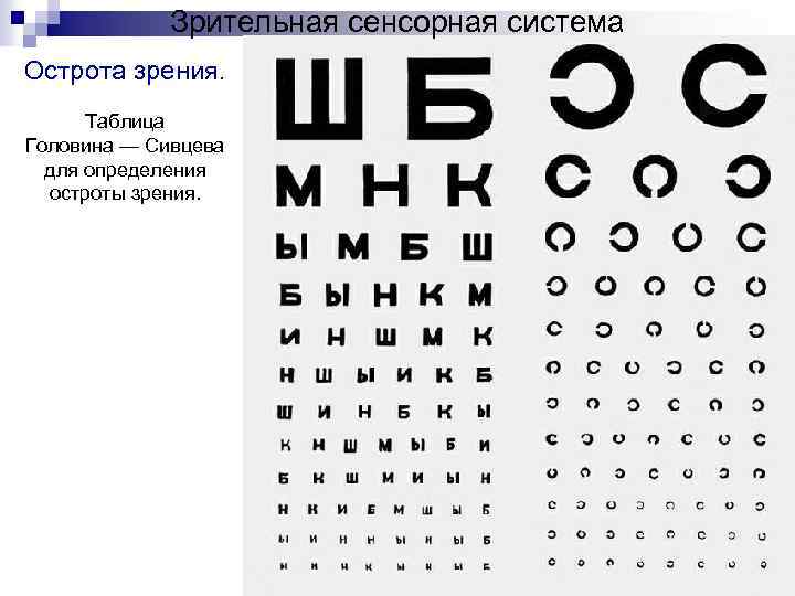 Зрительная сенсорная система Острота зрения. Таблица Головина — Сивцева для определения остроты зрения. 