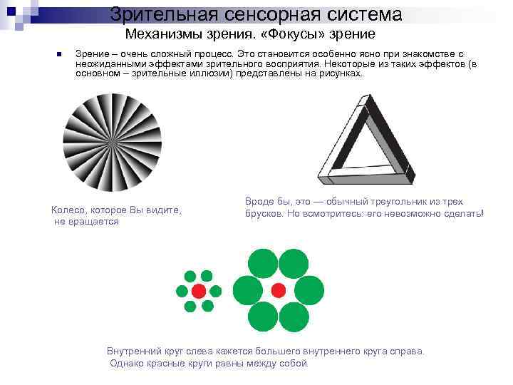 Зрительная сенсорная система Механизмы зрения. «Фокусы» зрение n Зрение – очень сложный процесс. Это