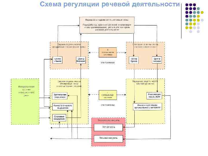 Схема регуляции речевой деятельности 