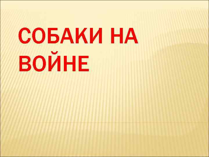 СОБАКИ НА ВОЙНЕ 