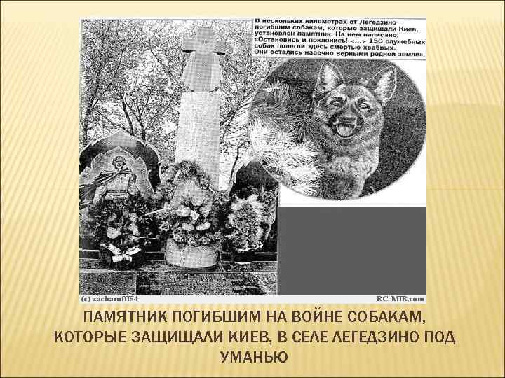 ПАМЯТНИК ПОГИБШИМ НА ВОЙНЕ СОБАКАМ, КОТОРЫЕ ЗАЩИЩАЛИ КИЕВ, В СЕЛЕ ЛЕГЕДЗИНО ПОД УМАНЬЮ 
