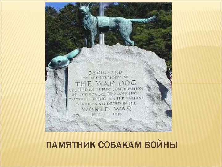 ПАМЯТНИК СОБАКАМ ВОЙНЫ 