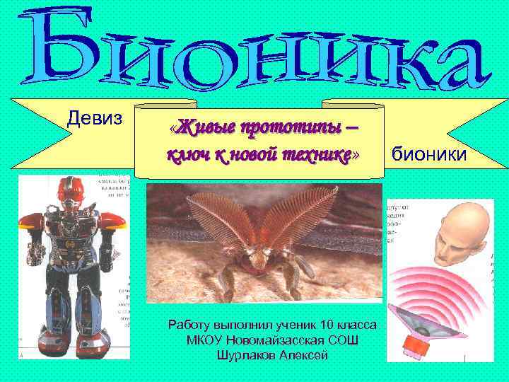 Девиз «Живые прототипы – ключ к новой технике» Работу выполнил ученик 10 класса МКОУ
