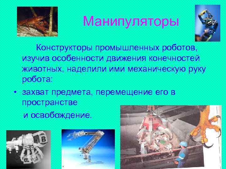 Манипуляторы Конструкторы промышленных роботов, изучив особенности движения конечностей животных, наделили ими механическую руку робота: