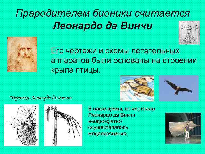 Прародителем бионики считается Леонардо да Винчи Его чертежи и схемы летательных аппаратов были основаны