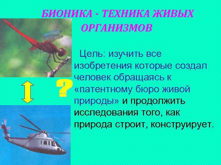 БИОНИКА - ТЕХНИКА ЖИВЫХ ОРГАНИЗМОВ Цель: изучить все изобретения которые создал человек обращаясь к