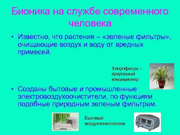 Бионика на службе современного человека • Известно, что растения – «зеленые фильтры» , очищающие
