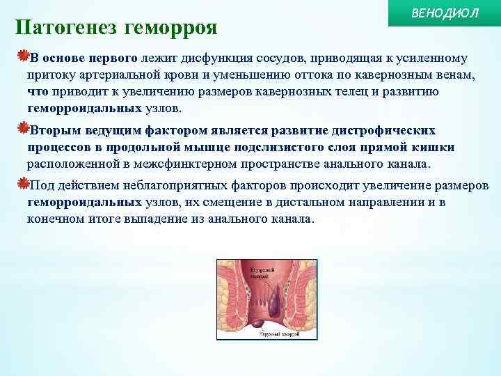 Патогенез геморроя ВЕНОДИОЛ В основе первого лежит дисфункция сосудов, приводящая к усиленному притоку артериальной