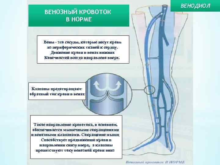 Вен нижних конечностей мкб