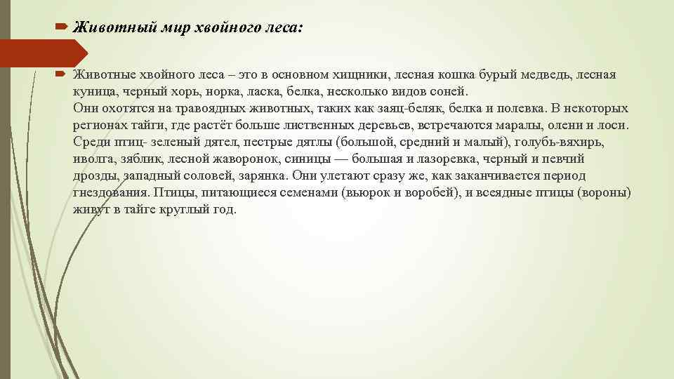  Животный мир хвойного леса: Животные хвойного леса – это в основном хищники, лесная