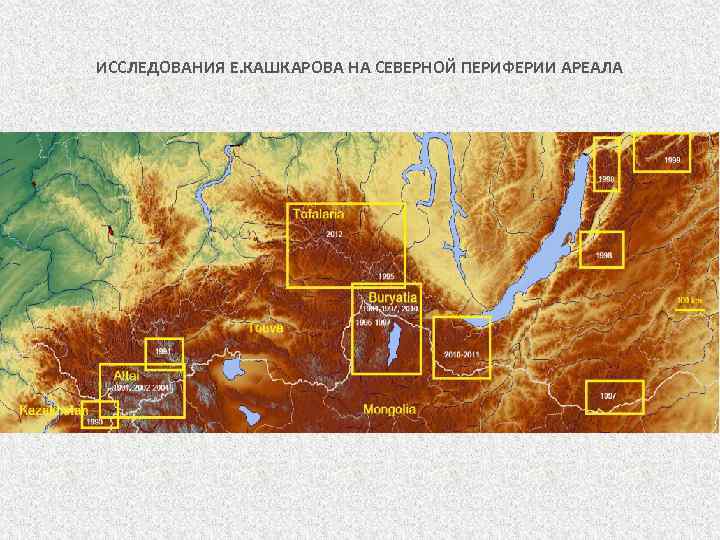 ИССЛЕДОВАНИЯ Е. КАШКАРОВА НА СЕВЕРНОЙ ПЕРИФЕРИИ АРЕАЛА 