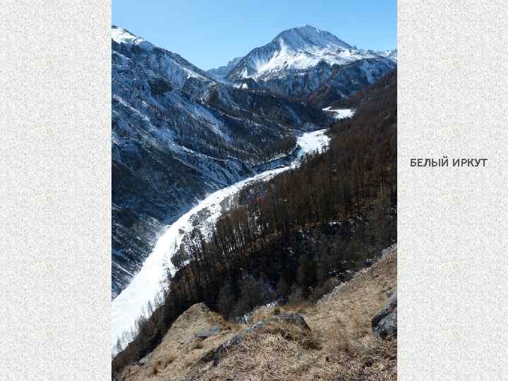 БЕЛЫЙ ИРКУТ 