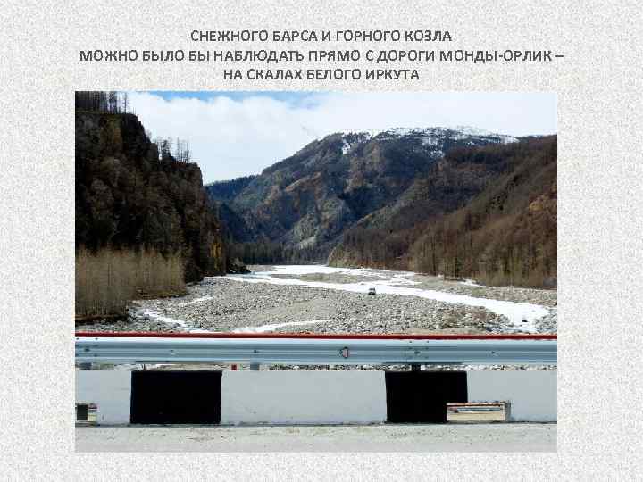 СНЕЖНОГО БАРСА И ГОРНОГО КОЗЛА МОЖНО БЫЛО БЫ НАБЛЮДАТЬ ПРЯМО С ДОРОГИ МОНДЫ-ОРЛИК –