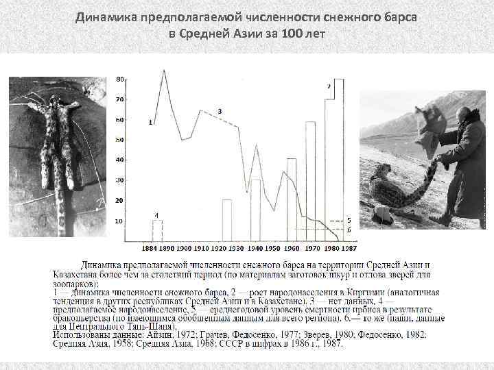 Барс график. Популяция снежных Барсов график. Диаграмма популяции снежного Барса. Динамика численности популяции слонов по годам.