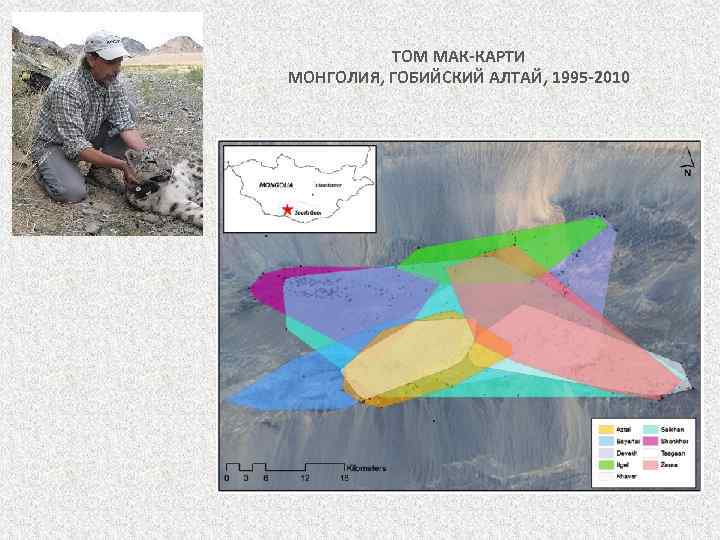ТОМ МАК-КАРТИ МОНГОЛИЯ, ГОБИЙСКИЙ АЛТАЙ, 1995 -2010 