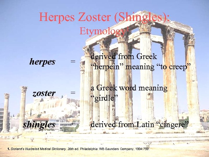 Herpes Zoster (Shingles): Etymology 1 = derived from Greek “herpein” meaning “to creep” zoster
