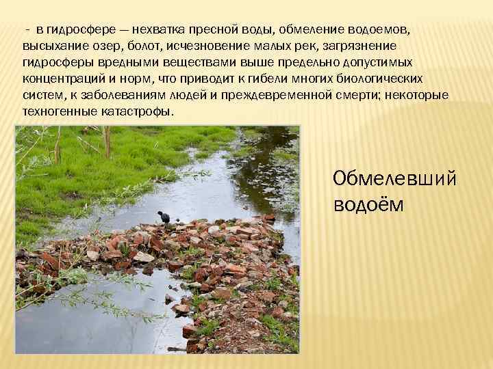 Что произойдет с морковкой в пресной воде. Загрязнение и обмеление рек и озёр. Влияние обмеление водоемов на животных. Высыхание водоёмоввысыхание водоёмов. Причины обмеления рек.