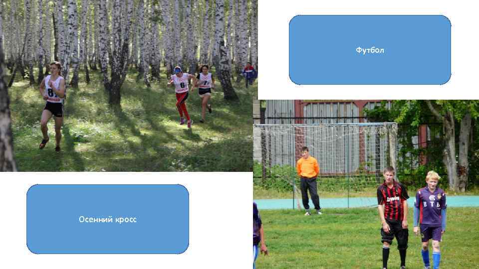 Футбол Осенний кросс 