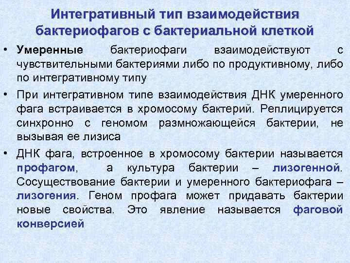 Интегративный тип взаимодействия бактериофагов с бактериальной клеткой • Умеренные бактериофаги взаимодействуют с чувствительными бактериями