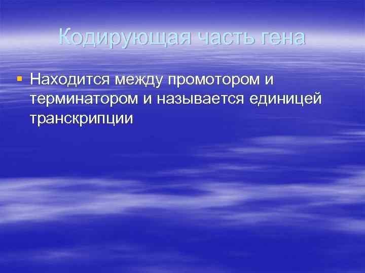 Кодирующая часть гена § Находится между промотором и терминатором и называется единицей транскрипции 