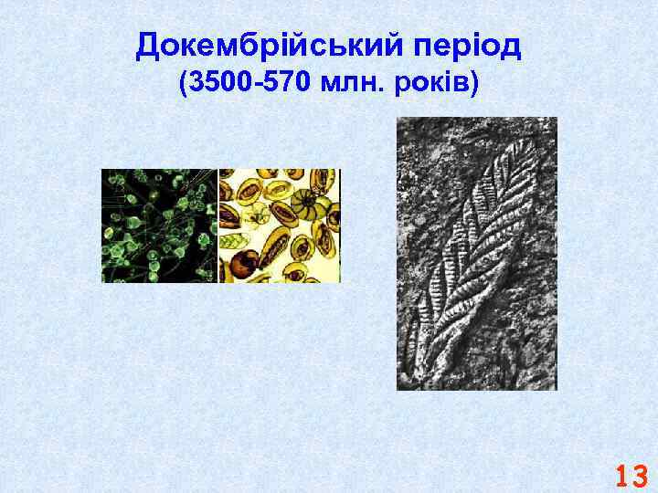 Докембрійський період (3500 -570 млн. років) 13 