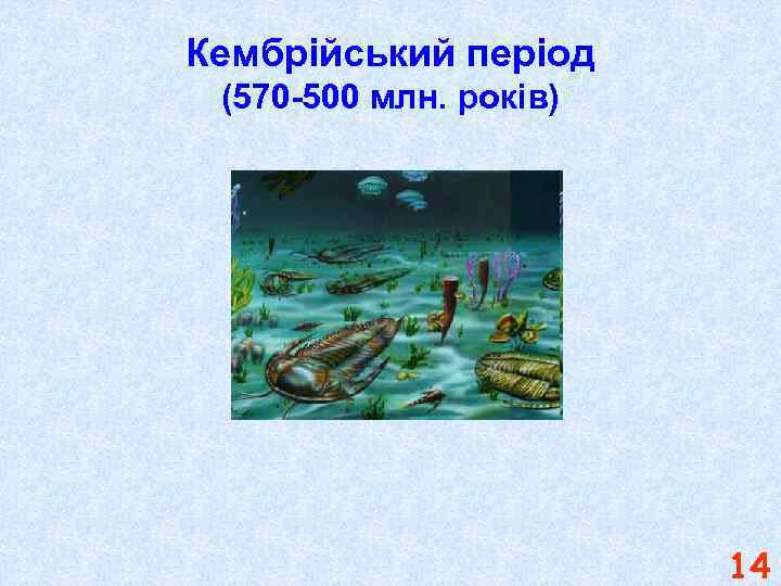 Кембрійський період (570 -500 млн. років) 14 