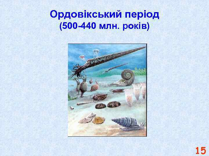 Ордовікський період (500 -440 млн. років) 15 
