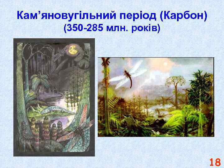 Кам’яновугільний період (Карбон) (350 -285 млн. років) 18 