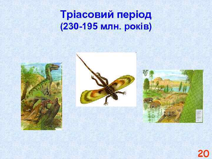 Тріасовий період (230 -195 млн. років) 20 