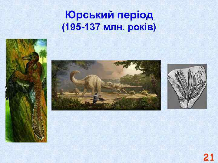 Юрський період (195 -137 млн. років) 21 