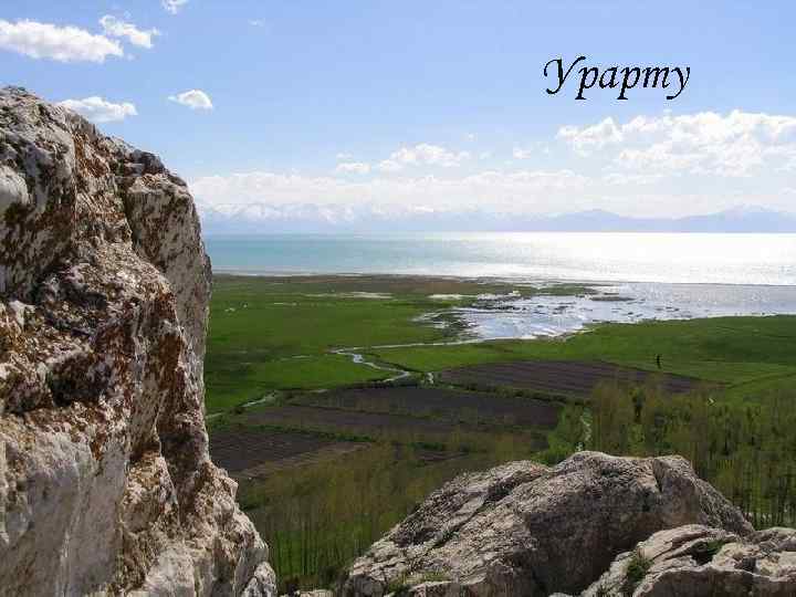 Урарту 