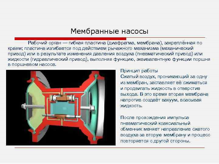 Мембранные насосы Рабочий орган — гибкая пластина (диафрагма, мембрана), закреплённая по краям; пластина изгибается