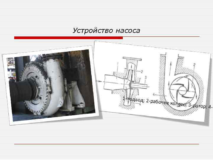 Устройство насоса 1 -подвод; 2 - рабочее кол есо; 3 -ротор ; 4 -о