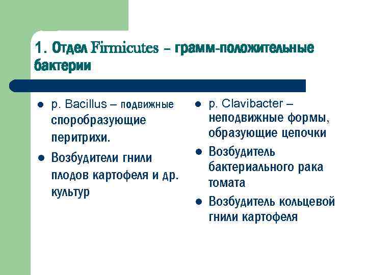 1. Отдел Firmicutes – грамм-положительные бактерии l р. Bacillus – подвижные l l споробразующие