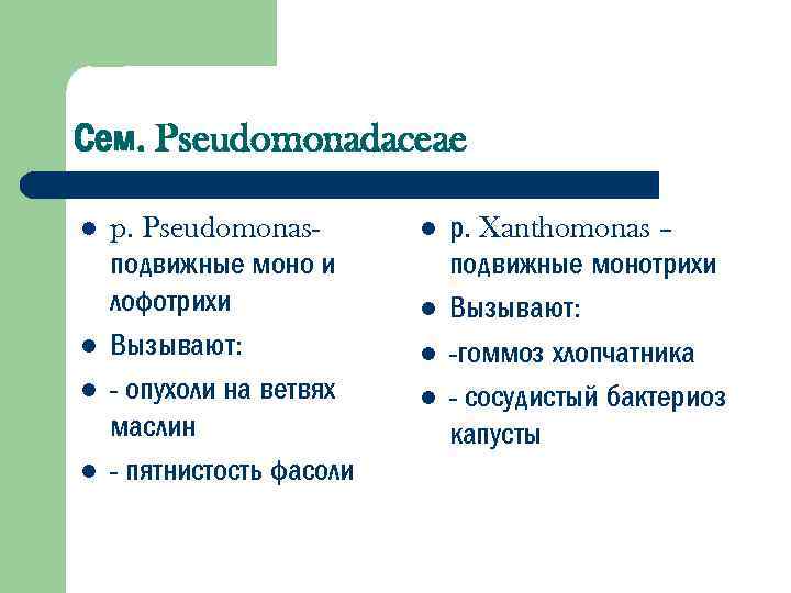 Сем. Pseudomonadaceae l l p. Pseudomonasподвижные моно и лофотрихи Вызывают: - опухоли на ветвях