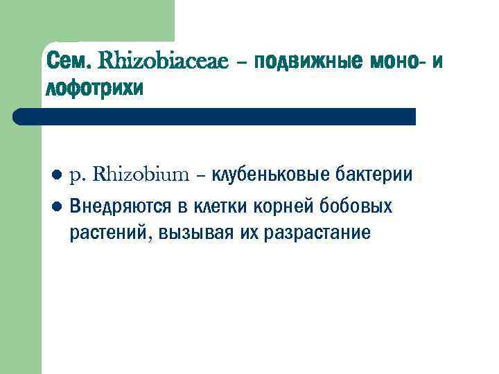 Сем. Rhizobiaceae – подвижные моно- и лофотрихи p. Rhizobium – клубеньковые бактерии l Внедряются