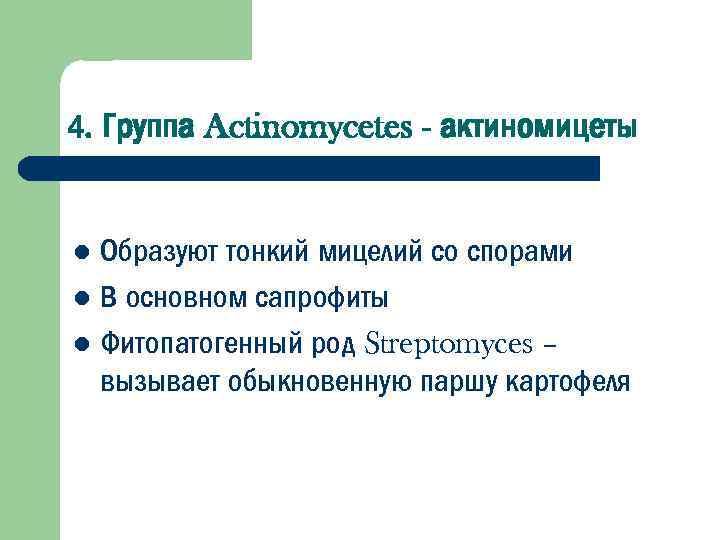 4. Группа Actinomycetes - актиномицеты Образуют тонкий мицелий со спорами l В основном сапрофиты