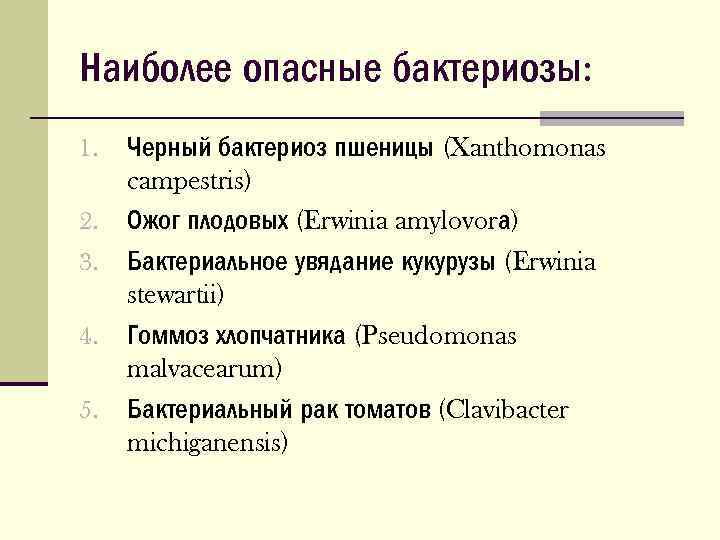 Наиболее опасные бактериозы: 1. 2. 3. 4. 5. Черный бактериоз пшеницы (Xanthomonas campestris) Ожог