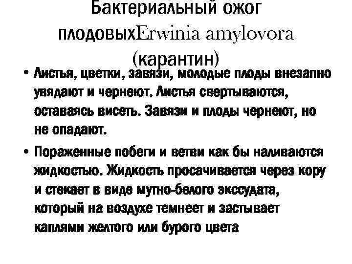 Бактериальный ожог плодовых. Erwinia amylovora (карантин) • Листья, цветки, завязи, молодые плоды внезапно увядают