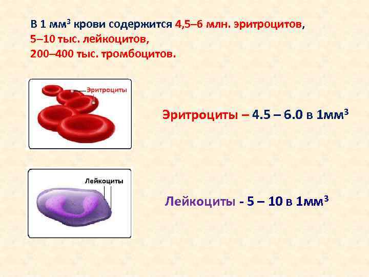 Посмотрите на изображение эритроцитов в разной среде в каком растворе находятся эритроциты на третье