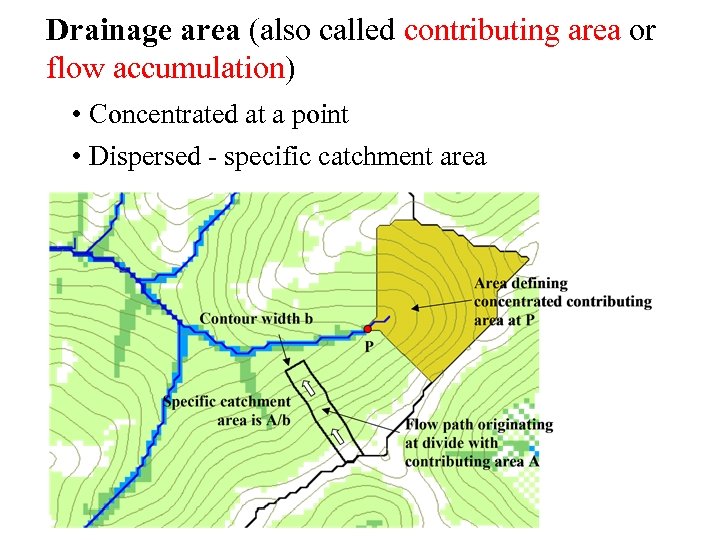 Drainage area (also called contributing area or flow accumulation) • Concentrated at a point