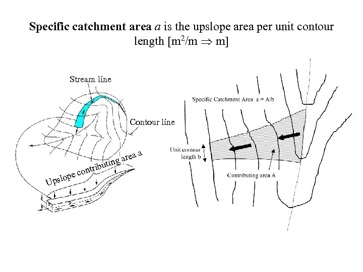 Specific catchment area a is the upslope area per unit contour length [m 2/m