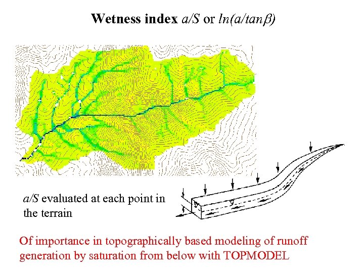Wetness index a/S or ln(a/tan ) a/S evaluated at each point in the terrain
