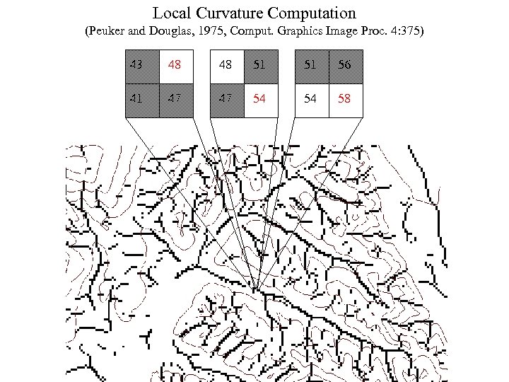 Local Curvature Computation (Peuker and Douglas, 1975, Comput. Graphics Image Proc. 4: 375) 43